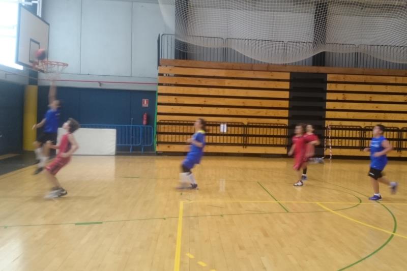 BSK-Alevin 2