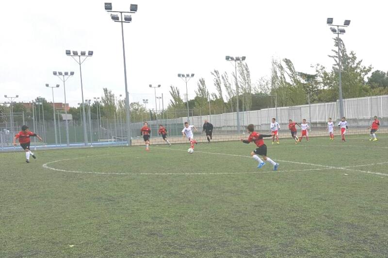Benj F7 vs Delicias