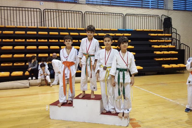 EventoJudo ElEspinillo Ene2018