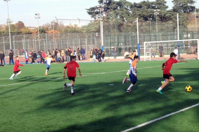 F7 Ale vs Olmos