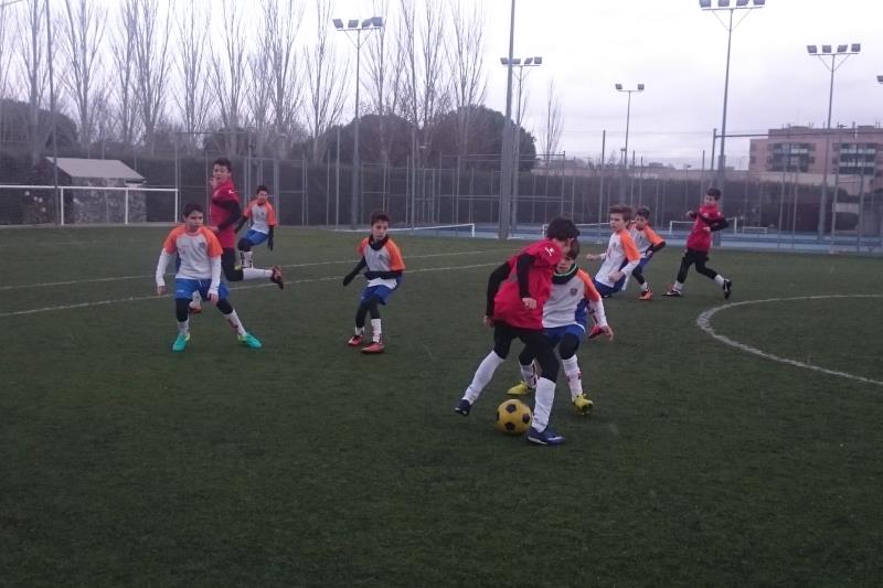 F7-Ale-vs-Olmos
